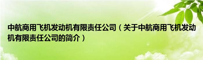 中航商用飛機(jī)發(fā)動機(jī)有限責(zé)任公司（關(guān)于中航商用飛機(jī)發(fā)動機(jī)有限責(zé)任公司的簡介）