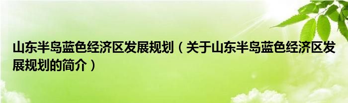 山東半島藍(lán)色經(jīng)濟(jì)區(qū)發(fā)展規(guī)劃（關(guān)于山東半島藍(lán)色經(jīng)濟(jì)區(qū)發(fā)展規(guī)劃的簡(jiǎn)介）