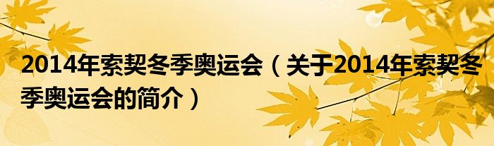 2014年索契冬季奧運(yùn)會(huì)（關(guān)于2014年索契冬季奧運(yùn)會(huì)的簡介）