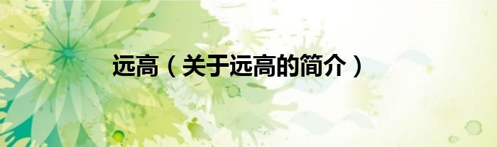 遠(yuǎn)高（關(guān)于遠(yuǎn)高的簡(jiǎn)介）