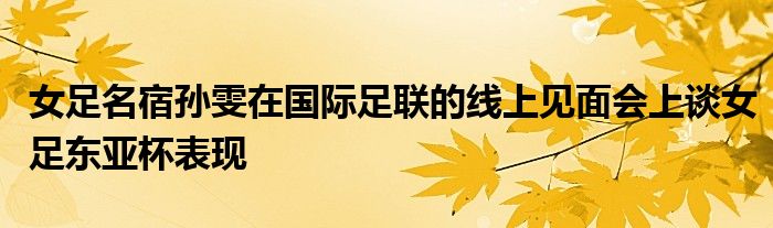 女足名宿孫雯在國(guó)際足聯(lián)的線上見面會(huì)上談女足東亞杯表現(xiàn)