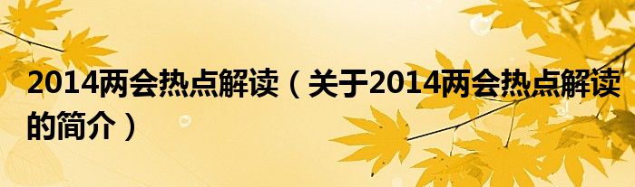 2014兩會(huì)熱點(diǎn)解讀（關(guān)于2014兩會(huì)熱點(diǎn)解讀的簡(jiǎn)介）