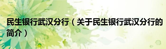 民生銀行武漢分行（關于民生銀行武漢分行的簡介）