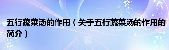 五行蔬菜湯的作用（關(guān)于五行蔬菜湯的作用的簡介）