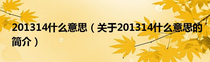 201314什么意思（關(guān)于201314什么意思的簡(jiǎn)介）