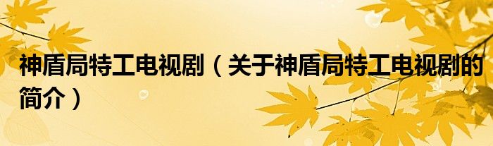 神盾局特工電視?。P(guān)于神盾局特工電視劇的簡介）