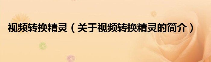 視頻轉(zhuǎn)換精靈（關(guān)于視頻轉(zhuǎn)換精靈的簡介）