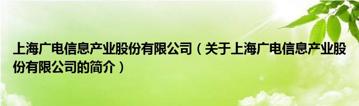 上海廣電信息產(chǎn)業(yè)股份有限公司（關(guān)于上海廣電信息產(chǎn)業(yè)股份有限公司的簡介）