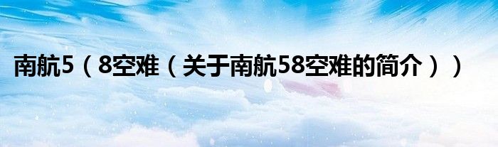 南航5（8空難（關(guān)于南航58空難的簡介））