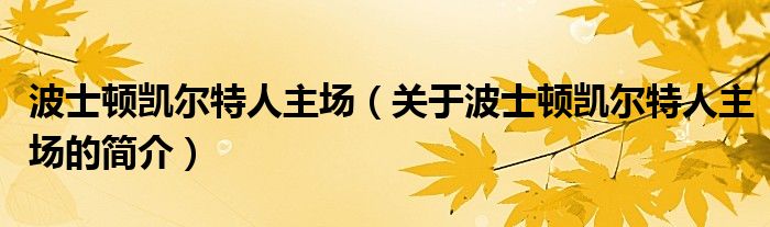 波士頓凱爾特人主場（關(guān)于波士頓凱爾特人主場的簡介）