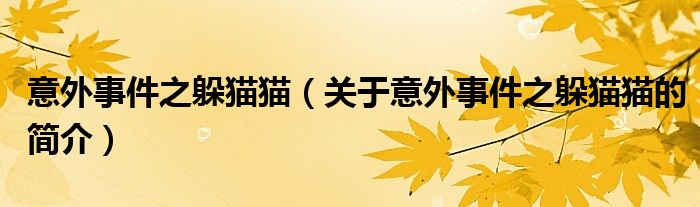 意外事件之躲貓貓（關(guān)于意外事件之躲貓貓的簡介）