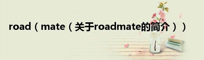 road（mate（關于roadmate的簡介））