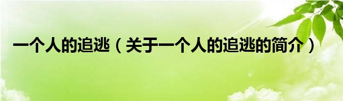 一個(gè)人的追逃（關(guān)于一個(gè)人的追逃的簡(jiǎn)介）