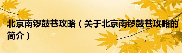 北京南鑼鼓巷攻略（關(guān)于北京南鑼鼓巷攻略的簡介）