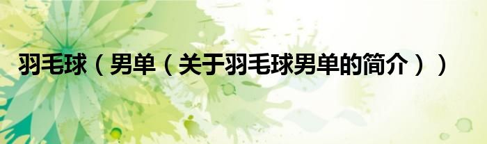 羽毛球（男單（關(guān)于羽毛球男單的簡(jiǎn)介））