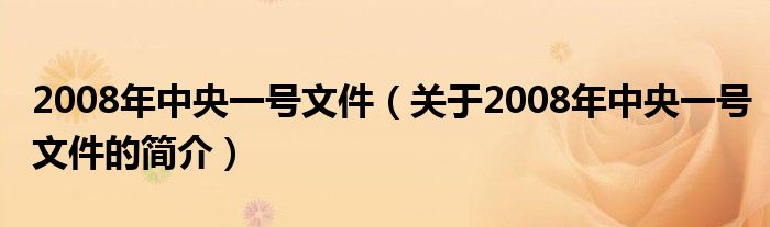 2008年中央一號(hào)文件（關(guān)于2008年中央一號(hào)文件的簡(jiǎn)介）