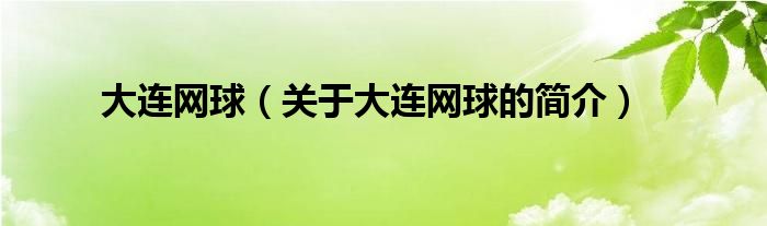 大連網(wǎng)球（關(guān)于大連網(wǎng)球的簡介）