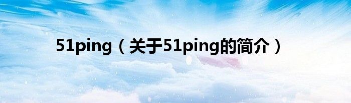 51ping（關于51ping的簡介）