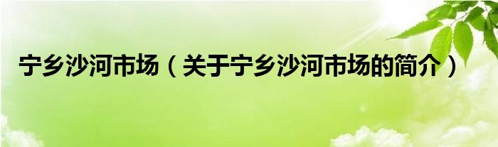 寧鄉(xiāng)沙河市場(chǎng)（關(guān)于寧鄉(xiāng)沙河市場(chǎng)的簡(jiǎn)介）