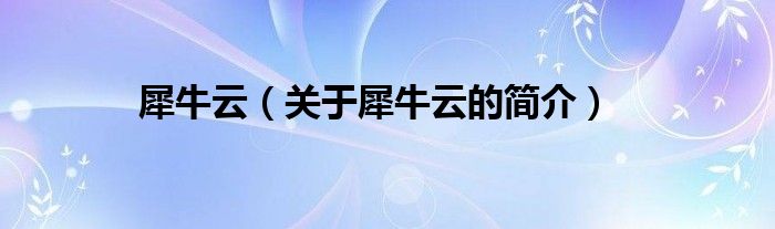 犀牛云（關(guān)于犀牛云的簡(jiǎn)介）