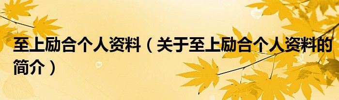 至上勵(lì)合個(gè)人資料（關(guān)于至上勵(lì)合個(gè)人資料的簡(jiǎn)介）