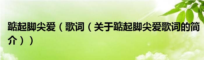 踮起腳尖愛（歌詞（關(guān)于踮起腳尖愛歌詞的簡介））