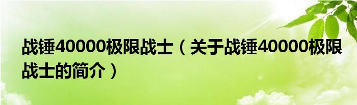 戰(zhàn)錘40000極限戰(zhàn)士（關(guān)于戰(zhàn)錘40000極限戰(zhàn)士的簡(jiǎn)介）