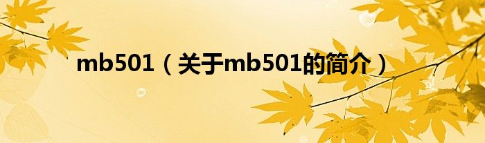 mb501（關(guān)于mb501的簡(jiǎn)介）