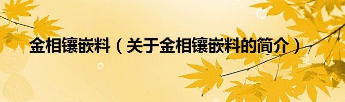 金相鑲嵌料（關(guān)于金相鑲嵌料的簡(jiǎn)介）