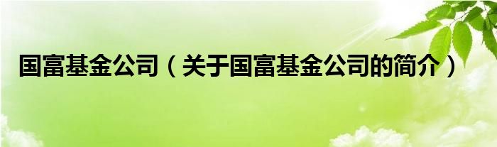 國富基金公司（關(guān)于國富基金公司的簡(jiǎn)介）