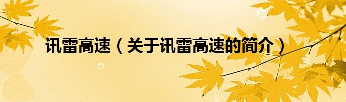 訊雷高速（關(guān)于訊雷高速的簡介）