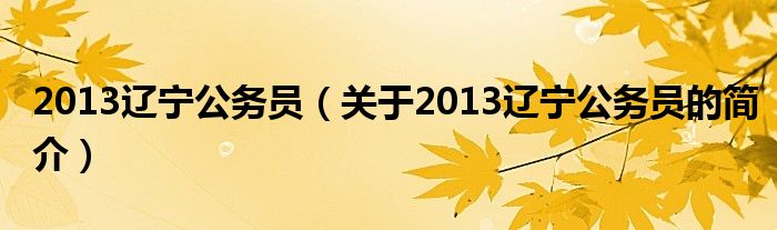 2013遼寧公務(wù)員（關(guān)于2013遼寧公務(wù)員的簡介）