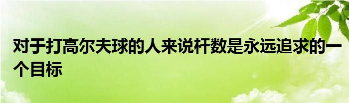 對(duì)于打高爾夫球的人來(lái)說(shuō)桿數(shù)是永遠(yuǎn)追求的一個(gè)目標(biāo)