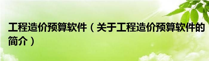 工程造價(jià)預(yù)算軟件（關(guān)于工程造價(jià)預(yù)算軟件的簡(jiǎn)介）