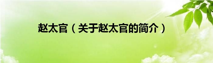 趙太官（關(guān)于趙太官的簡(jiǎn)介）