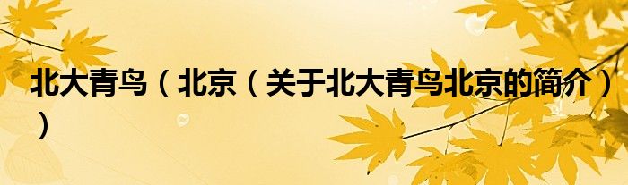 北大青鳥（北京（關(guān)于北大青鳥北京的簡(jiǎn)介））