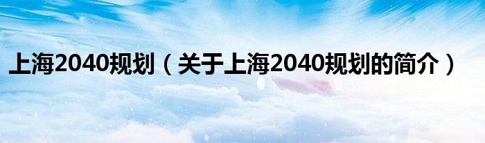 上海2040規(guī)劃（關(guān)于上海2040規(guī)劃的簡介）