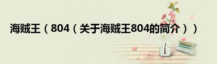 海賊王（804（關(guān)于海賊王804的簡介））