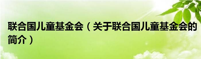 聯(lián)合國兒童基金會（關于聯(lián)合國兒童基金會的簡介）