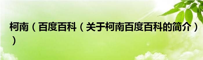 柯南（百度百科（關(guān)于柯南百度百科的簡(jiǎn)介））