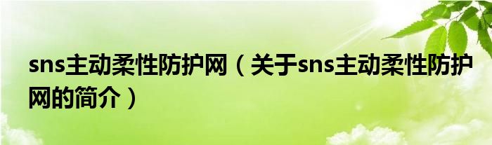 sns主動柔性防護網(wǎng)（關(guān)于sns主動柔性防護網(wǎng)的簡介）