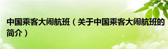 中國乘客大鬧航班（關于中國乘客大鬧航班的簡介）