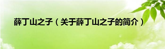 薛丁山之子（關(guān)于薛丁山之子的簡(jiǎn)介）