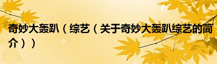 奇妙大轟趴（綜藝（關(guān)于奇妙大轟趴綜藝的簡(jiǎn)介））