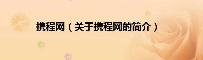 攜程網(wǎng)（關(guān)于攜程網(wǎng)的簡(jiǎn)介）