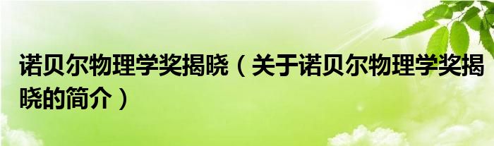 諾貝爾物理學獎揭曉（關于諾貝爾物理學獎揭曉的簡介）