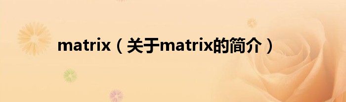 matrix（關(guān)于matrix的簡介）