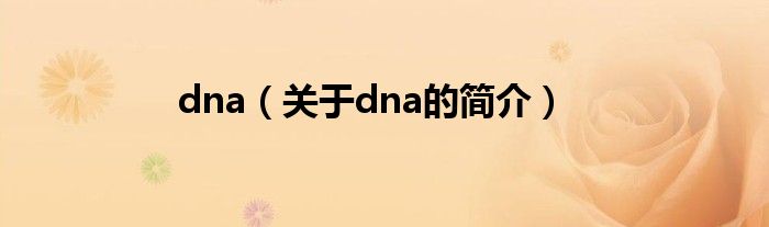 dna（關(guān)于dna的簡(jiǎn)介）