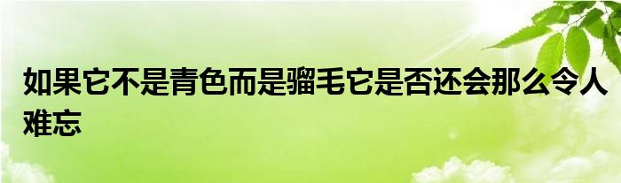 如果它不是青色而是騮毛它是否還會那么令人難忘