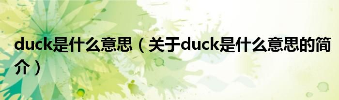 duck是什么意思（關(guān)于duck是什么意思的簡介）